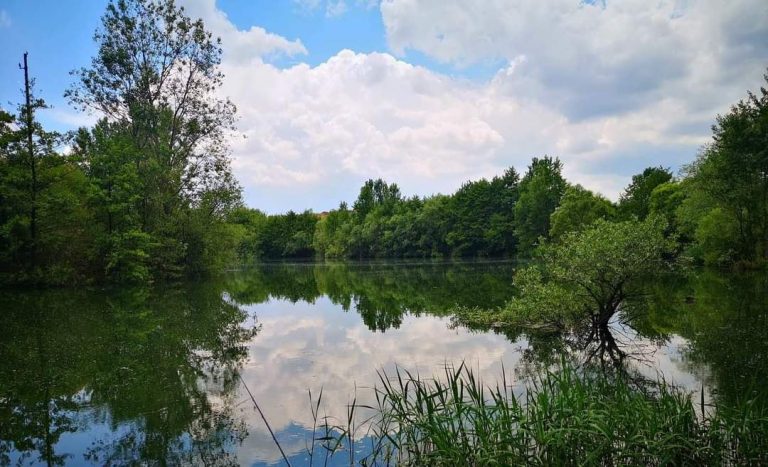 Становище относно инвестиционно предложение на "Холсим кариерни материали" АД за разширяване на дейностите на площадка №2 (кариера „Пет могили-изток“), кв. Враждебна